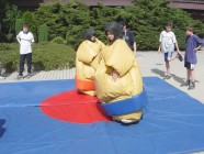 Foto atrakce Sumo ring